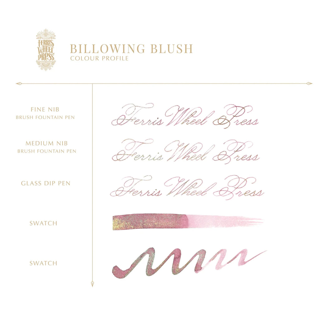 Fountain Pen Ink 20ml