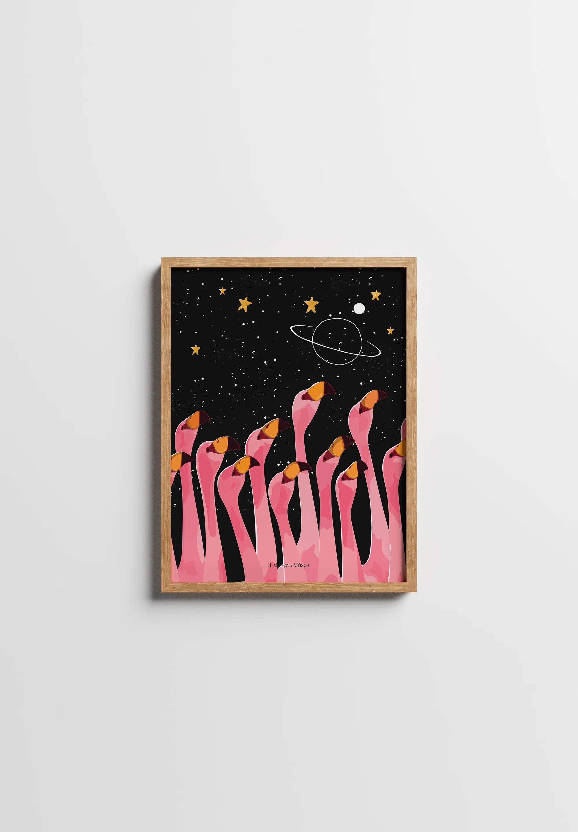 Galactic Flamingos
