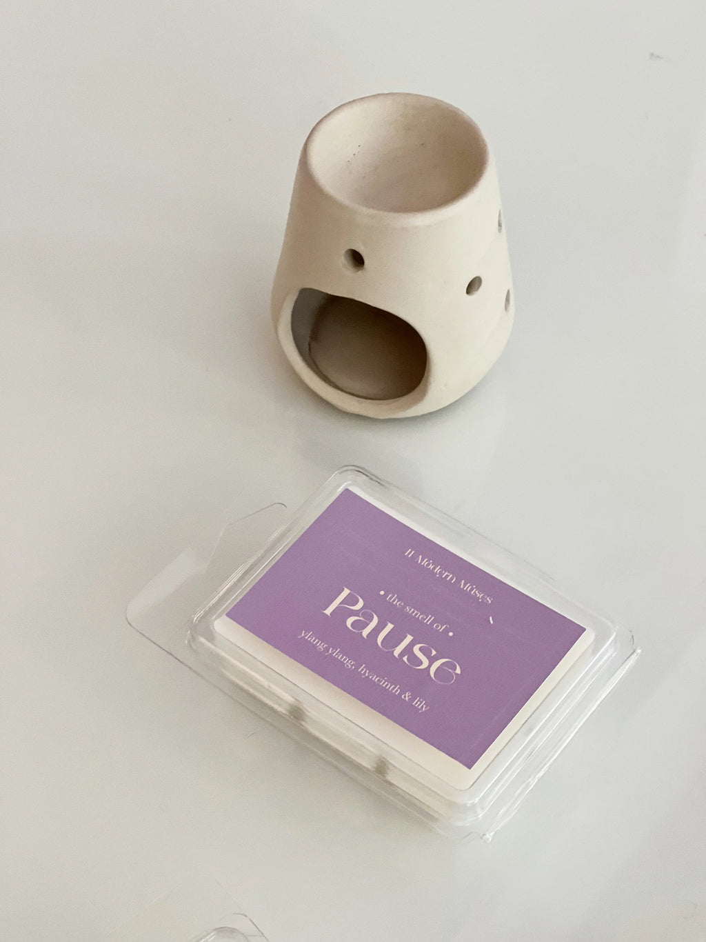 Soy Melts & Wax Melter Set