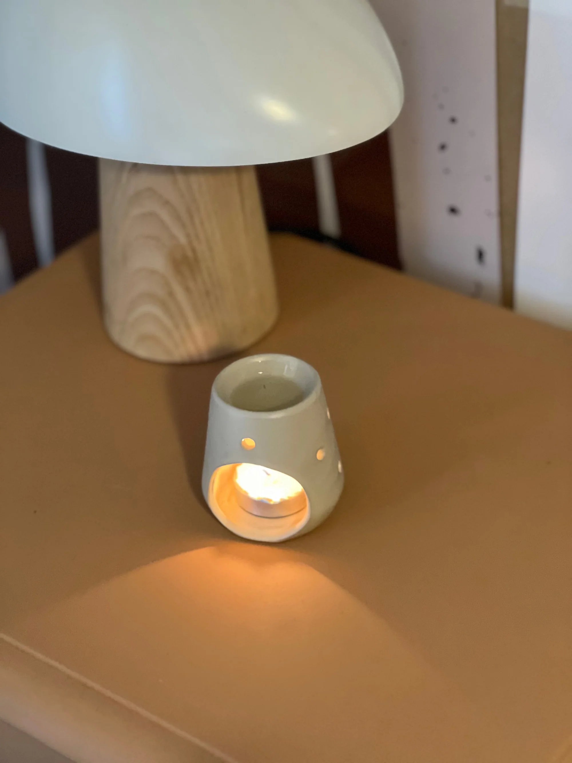 Soy Melts & Wax Melter Set